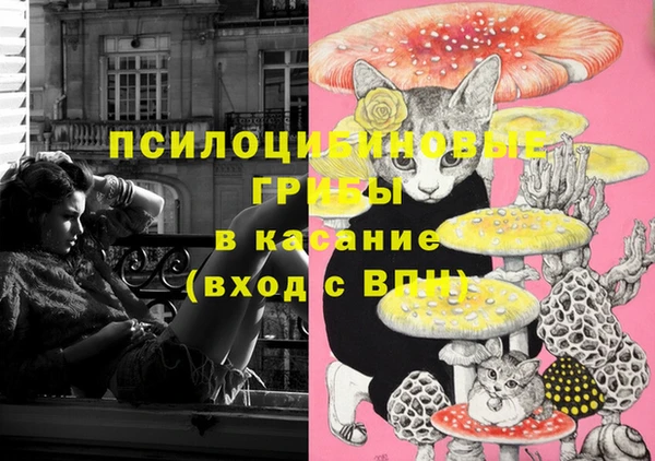 mdpv Балахна