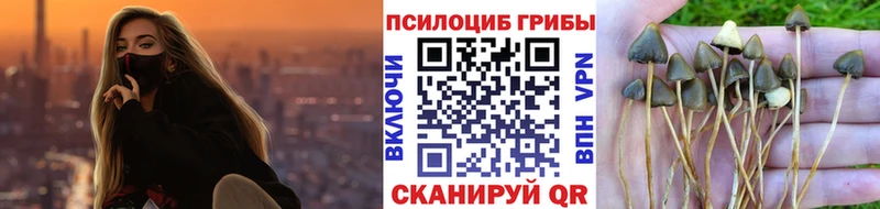 Псилоцибиновые грибы Cubensis дарнет шоп Котовск